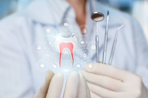 Best Traditional Braces  in Baden, MD